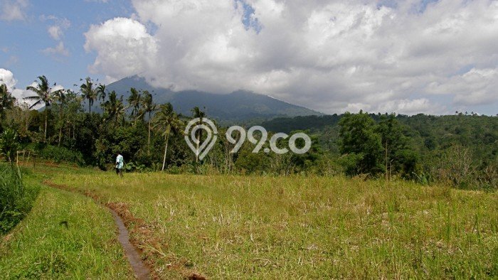 Lahan Dijual Lokasi Selemadeg, Tabanan dengan Luas Tanah 7450m2 dan Status SHM Lahan Dijual Lokasi Selemadeg, Tabanan dengan Luas Tanah 7450m2 dan Status SHM