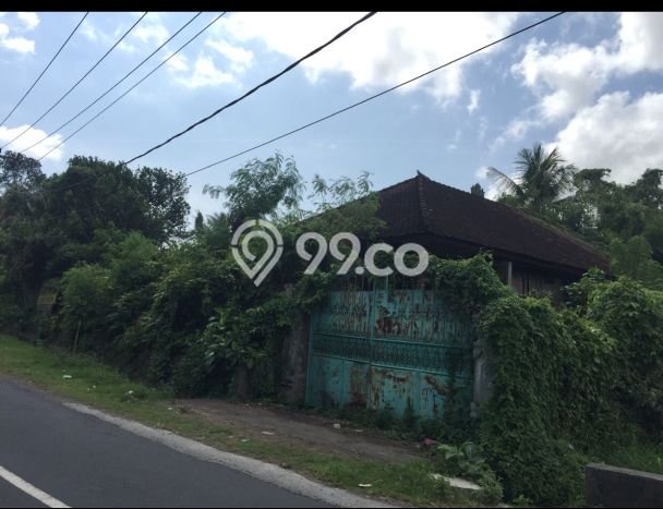Tanah Dijual Area Strategis di canggu Badung 5515m2 Tanah Dijual Area Strategis di canggu Badung 5515m2