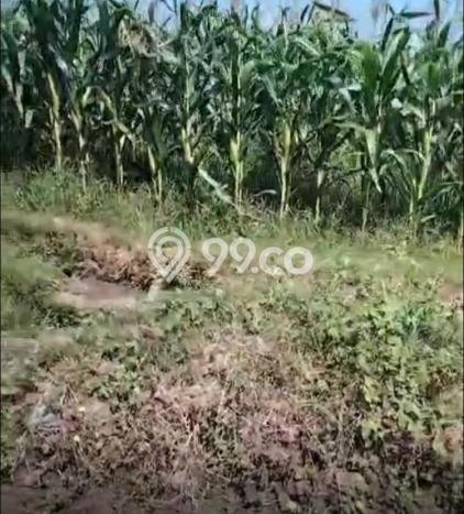 Tanah Dijual Lokasi Selemadeg Tabanan SHM Tanah Dijual Lokasi Selemadeg Tabanan SHM
