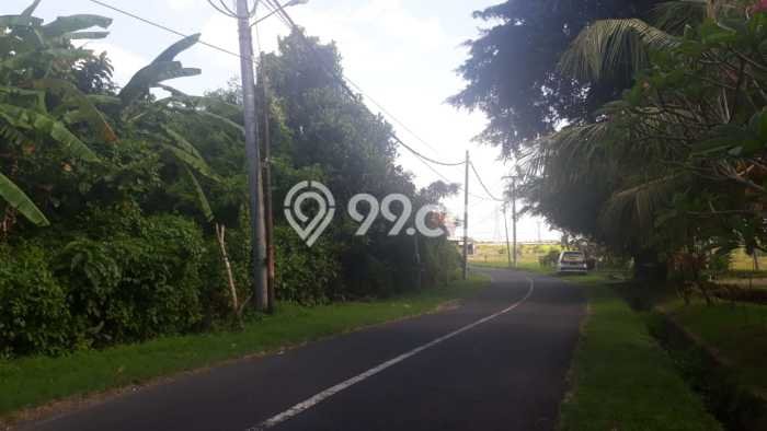 Tanah Dijual Area Strategis di canggu Badung 5515m2 Tanah Dijual Area Strategis di canggu Badung 5515m2