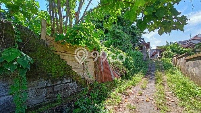 Tanah Kavling Dijual di Badung dengan Spesifikasi 490m2 Tanah Kavling Dijual di Badung dengan Spesifikasi 490m2