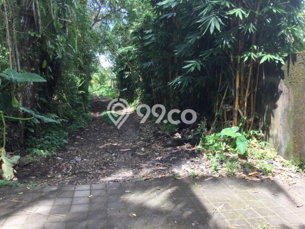 Kavling Tanah Dijual di Ubud, Gianyar, Luas 3500m2 Area Strategis Kavling Tanah Dijual di Ubud, Gianyar, Luas 3500m2 Area Strategis