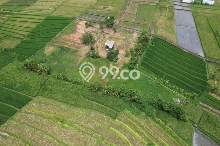 Tanah Dijual di Badung Seluas 3590m2 Strategis Tanah Dijual di Badung Seluas 3590m2 Strategis