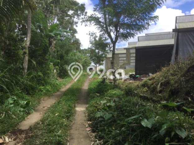 Tanah Kosong Dijual di Gianyar dengan Area 1m2 Tanah Kosong Dijual di Gianyar dengan Area 1m2