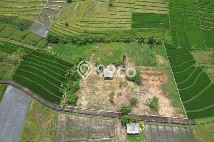 Tanah Dijual di Badung Seluas 3590m2 Strategis Tanah Dijual di Badung Seluas 3590m2 Strategis