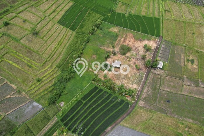 Tanah Dijual di Badung Seluas 3590m2 Strategis Tanah Dijual di Badung Seluas 3590m2 Strategis