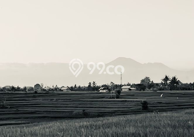 Tanah Dijual di Badung Seluas 3590m2 Strategis Tanah Dijual di Badung Seluas 3590m2 Strategis