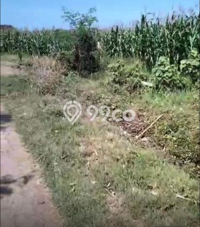 Tanah Dijual Lokasi Selemadeg Tabanan SHM Tanah Dijual Lokasi Selemadeg Tabanan SHM