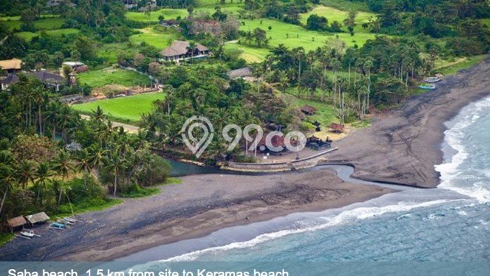 Lahan Kosong Dijual di Blahbatuh, Gianyar, Luas 42916m2 Area Strategis Lahan Kosong Dijual di Blahbatuh, Gianyar, Luas 42916m2 Area Strategis