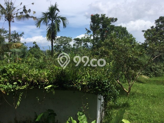 Kavling Tanah Dijual di Ubud, Gianyar, Luas 3500m2 Area Strategis Kavling Tanah Dijual di Ubud, Gianyar, Luas 3500m2 Area Strategis