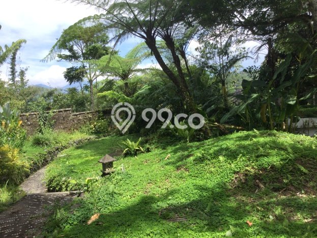 Kavling Tanah Dijual di Ubud, Gianyar, Luas 3500m2 Area Strategis Kavling Tanah Dijual di Ubud, Gianyar, Luas 3500m2 Area Strategis