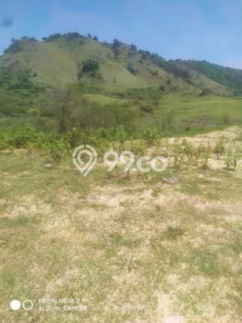 Tanah Area Prospektif Kawasan Labuan Bajo, Luas 55000m2m², Akses ke Fasilitas Umum, Dekat Labuan Bajo, Manggarai Barat, Manggarai Barat Tanah Area Prospektif Kawasan Labuan Bajo, Luas 55000m2m², Akses ke Fasilitas Umum, Dekat Labuan Bajo, Manggarai Barat, Manggarai Barat