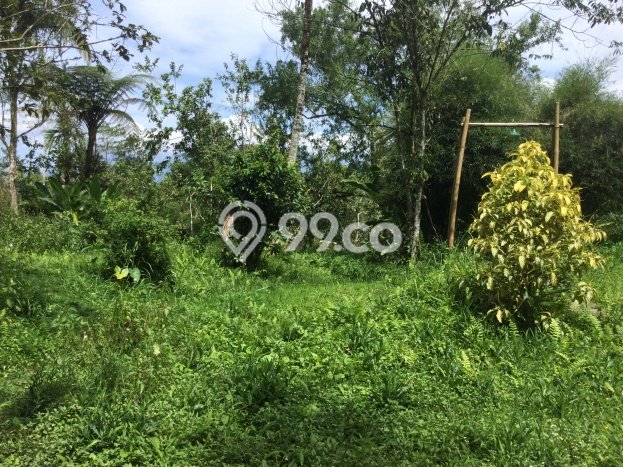 Kavling Tanah Dijual di Ubud, Gianyar, Luas 3500m2 Area Strategis Kavling Tanah Dijual di Ubud, Gianyar, Luas 3500m2 Area Strategis