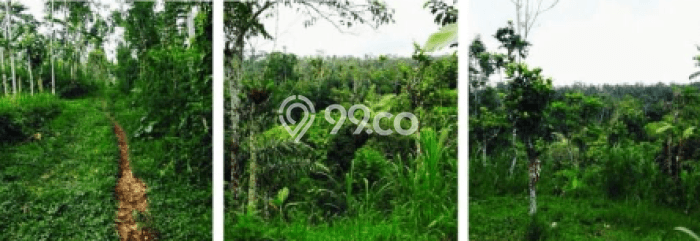 Tanah Kosong Dijual di Gianyar dengan Area 1m2 Tanah Kosong Dijual di Gianyar dengan Area 1m2
