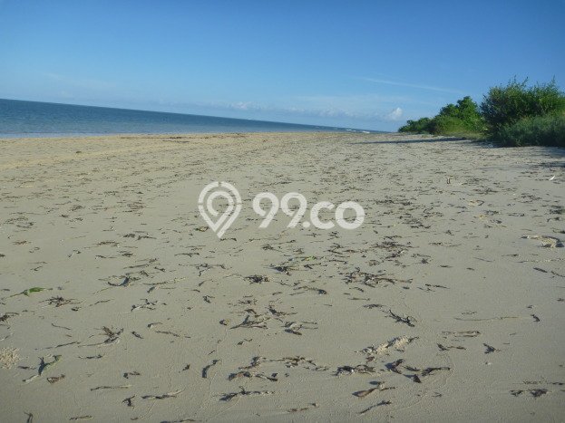 Tanah Strategis Dijual di Haharu Sumba Timur 9999m2 Tanah Strategis Dijual di Haharu Sumba Timur 9999m2