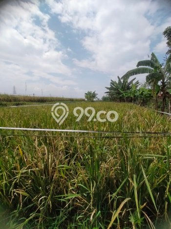 Rumah Modern Minimalis 2 Kamar Siap Huni di Cibiru Rumah Modern Minimalis 2 Kamar Siap Huni di Cibiru