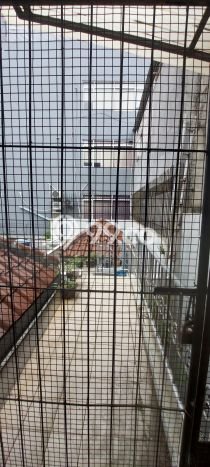 Disewakan Kantor komersial di Tanah Abang luas bangunan 500m2 Disewakan Kantor komersial di Tanah Abang luas bangunan 500m2