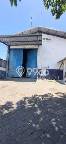 Gudang Disewakan di Area Ramai Buduran, Sidoarjo Gudang Disewakan di Area Ramai Buduran, Sidoarjo