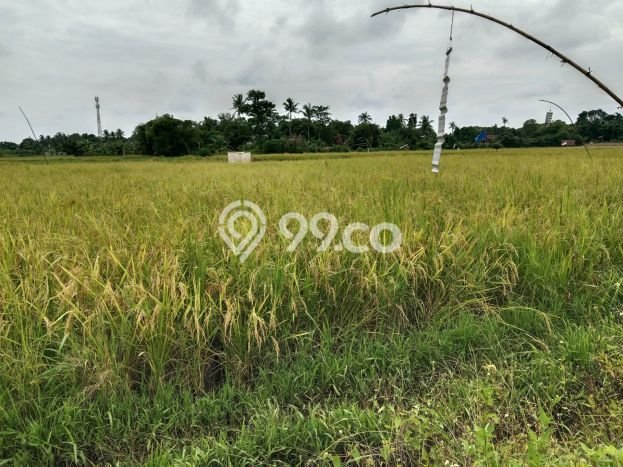 Tanah Kavling untuk Dijual di Tigaraksa Tangerang 2300m2 Tanah Kavling untuk Dijual di Tigaraksa Tangerang 2300m2