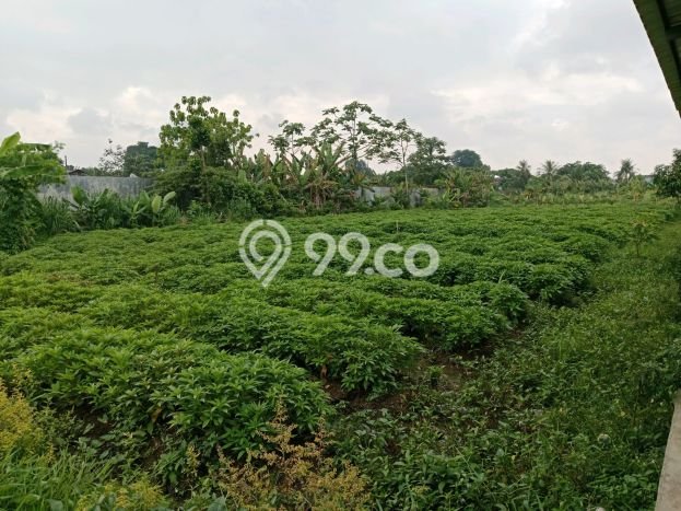 Tanah Dijual Lokasi Ciputat, Tangerang Selatan Luas 21000m2 Legalitas Aman Tanah Dijual Lokasi Ciputat, Tangerang Selatan Luas 21000m2 Legalitas Aman