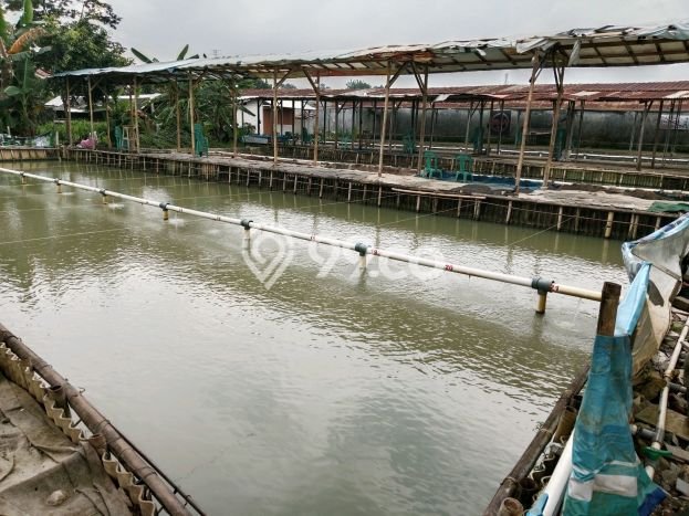 Tanah Dijual Lokasi Ciputat, Tangerang Selatan Luas 21000m2 Legalitas Aman Tanah Dijual Lokasi Ciputat, Tangerang Selatan Luas 21000m2 Legalitas Aman
