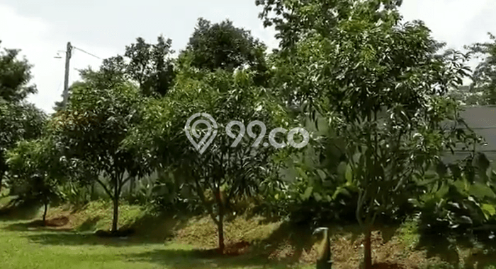 Rumah Idaman dengan Luas Tanah 4034m² di Lingkungan Asri Sukatani, Purwakarta Rumah Idaman dengan Luas Tanah 4034m² di Lingkungan Asri Sukatani, Purwakarta