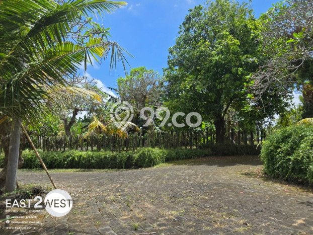 Tanah Area Prospektif Kawasan Tulikup, Luas 99m², Akses ke Pusat Kota Tanah Area Prospektif Kawasan Tulikup, Luas 99m², Akses ke Pusat Kota