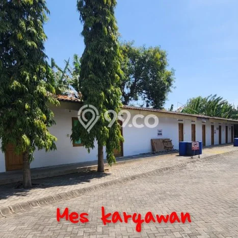 Unit Pabrik Dijual di Nganjuk Nganjuk Luas Bangunan 2500m2 Unit Pabrik Dijual di Nganjuk Nganjuk Luas Bangunan 2500m2