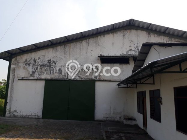 Kavling Tanah di Sidoarjo Dijual Luas 4263m2 Legalitas SHM Kavling Tanah di Sidoarjo Dijual Luas 4263m2 Legalitas SHM