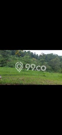 Tanah di Prigen, Pasuruan Luas 325m2 Dijual Segera Tanah di Prigen, Pasuruan Luas 325m2 Dijual Segera