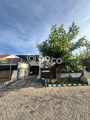 Dijual Tanah di Rungkut Surabaya Luas 229m2 - Dijual Tanah di Rungkut Surabaya Luas 229m2 -