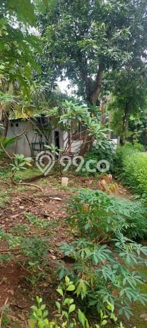 Rumah Modern 3 KT di Bintaro Tangerang Selatan Rumah Modern 3 KT di Bintaro Tangerang Selatan