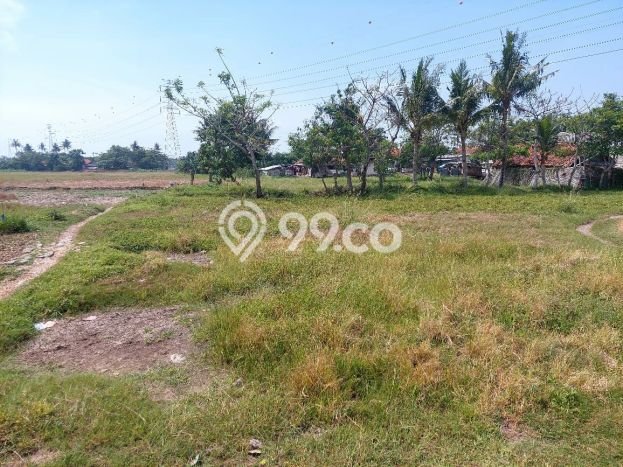 Tanah Dijual Lokasi Pakuhaji Tangerang SHM Tanah Dijual Lokasi Pakuhaji Tangerang SHM