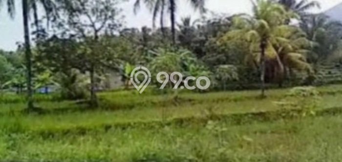 Tanah Dijual Lokasi Panimbang, Pandeglang Luas 41666m2 Legalitas Aman Tanah Dijual Lokasi Panimbang, Pandeglang Luas 41666m2 Legalitas Aman
