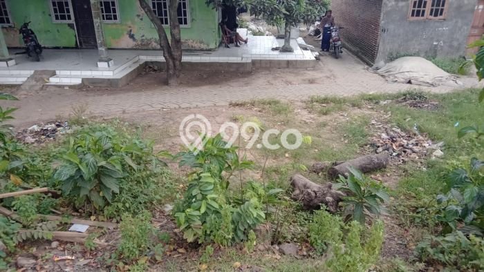 Kavling Tanah di Pakuhaji Dijual Luas 1303m2 Legalitas SHM Kavling Tanah di Pakuhaji Dijual Luas 1303m2 Legalitas SHM