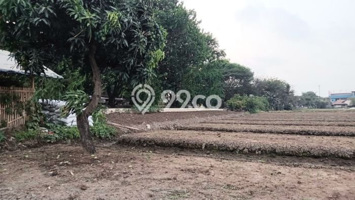 Tanah Kavling Dijual di Teluk Naga, Tangerang dengan Luas Tanah 12000m2 Tanah Kavling Dijual di Teluk Naga, Tangerang dengan Luas Tanah 12000m2