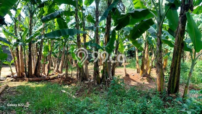 Tanah Kavling di Cipondoh Dijual dengan Luas 4115m2 Tanah Kavling di Cipondoh Dijual dengan Luas 4115m2