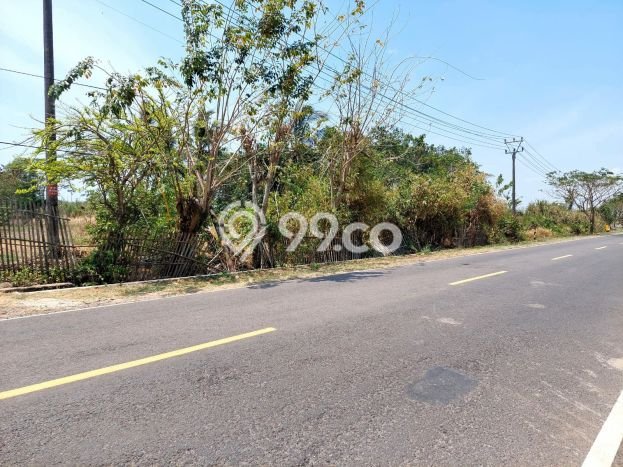 Tanah Dijual Lokasi Panimbang Pandeglang SHM Tanah Dijual Lokasi Panimbang Pandeglang SHM