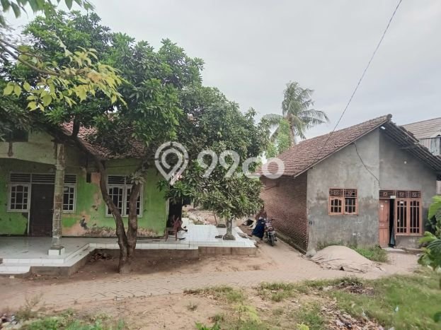 Kavling Tanah di Pakuhaji Dijual Luas 1303m2 Legalitas SHM Kavling Tanah di Pakuhaji Dijual Luas 1303m2 Legalitas SHM