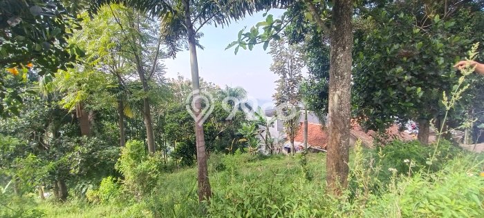 Tanah untuk Dijual di Lembang Bandung Barat Luas 1130m2 Tanah untuk Dijual di Lembang Bandung Barat Luas 1130m2