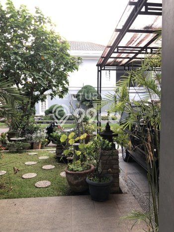 Disewakan Cepat Rumah Kondisi Bagus di Kawasan Lemahwungkuk, Cirebon Disewakan Cepat Rumah Kondisi Bagus di Kawasan Lemahwungkuk, Cirebon