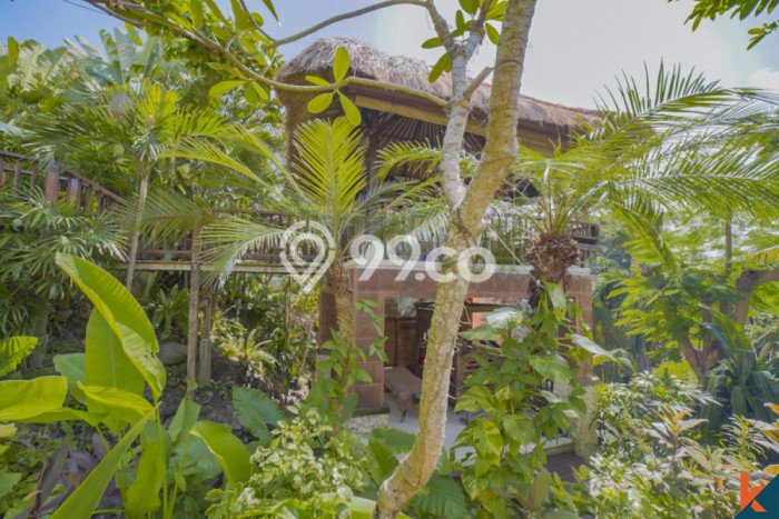 Jual Rumah Mewah Megah Dengan View Eksklusif di Jimbaran, Badung Jual Rumah Mewah Megah Dengan View Eksklusif di Jimbaran, Badung