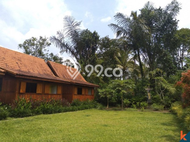 Siap Huni Hunian Elit 4 Kamar di Ubud Dekat ke Mana Pun Siap Huni Hunian Elit 4 Kamar di Ubud Dekat ke Mana Pun
