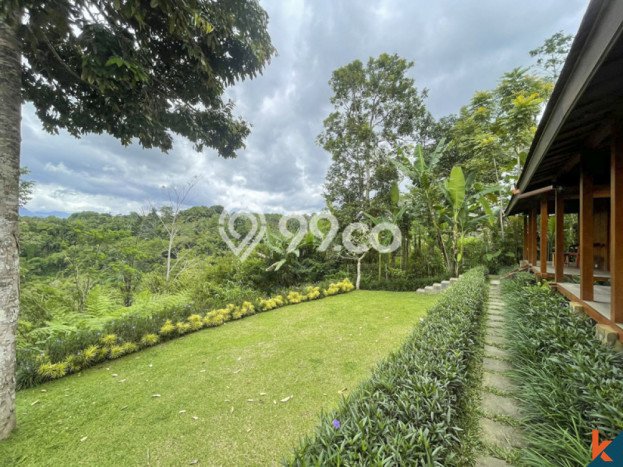Siap Huni Hunian Elit 4 Kamar di Ubud Dekat ke Mana Pun Siap Huni Hunian Elit 4 Kamar di Ubud Dekat ke Mana Pun