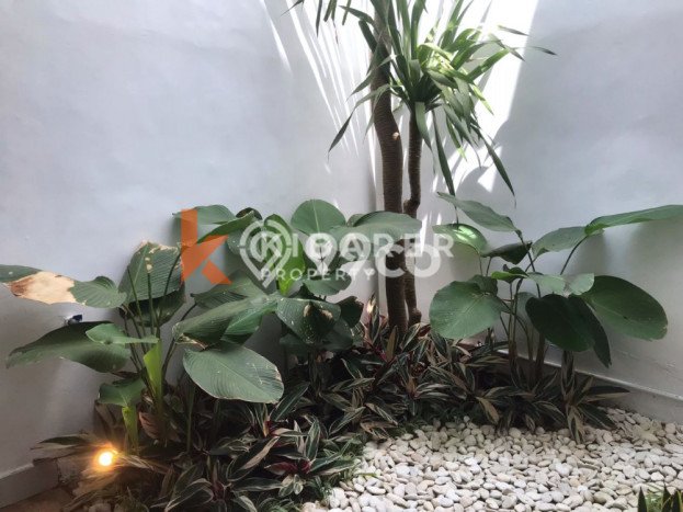 Jarang Ada! Rumah Sewa 2 Kamar Nyaman Siap Huni Jimbaran Jarang Ada! Rumah Sewa 2 Kamar Nyaman Siap Huni Jimbaran