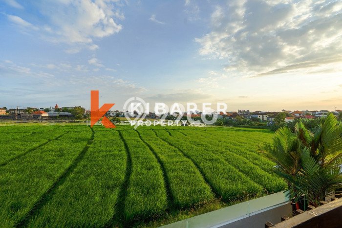 Disewakan Rumah Strategis LT 200m2 / LB 200m2 di canggu, Badung Disewakan Rumah Strategis LT 200m2 / LB 200m2 di canggu, Badung