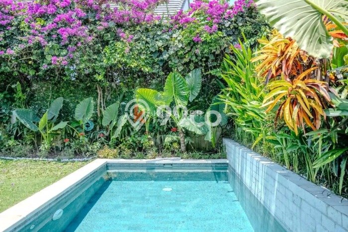 Jarang Ada! Rumah Sewa 3 Kamar Nyaman Siap Huni Canggu Jarang Ada! Rumah Sewa 3 Kamar Nyaman Siap Huni Canggu