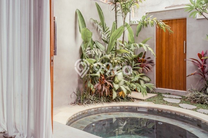 Rumah Minimalis 1 Kamar LT 75m2 di Canggu Rumah Minimalis 1 Kamar LT 75m2 di Canggu