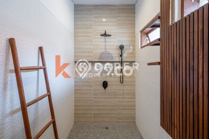 Disewakan Rumah Harga Terjangkau di Canggu Badung Punya 3 KT Disewakan Rumah Harga Terjangkau di Canggu Badung Punya 3 KT