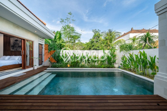 Disewakan Rumah Harga Terjangkau di Canggu Badung Punya 3 KT Disewakan Rumah Harga Terjangkau di Canggu Badung Punya 3 KT
